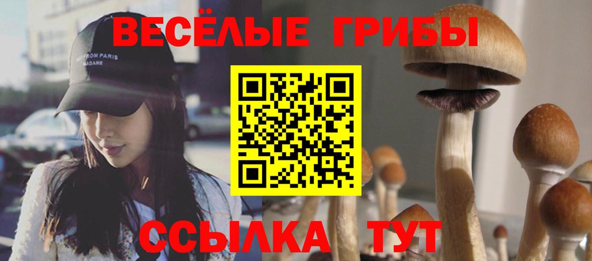 Галлюциногенные грибы Psilocybe Луга